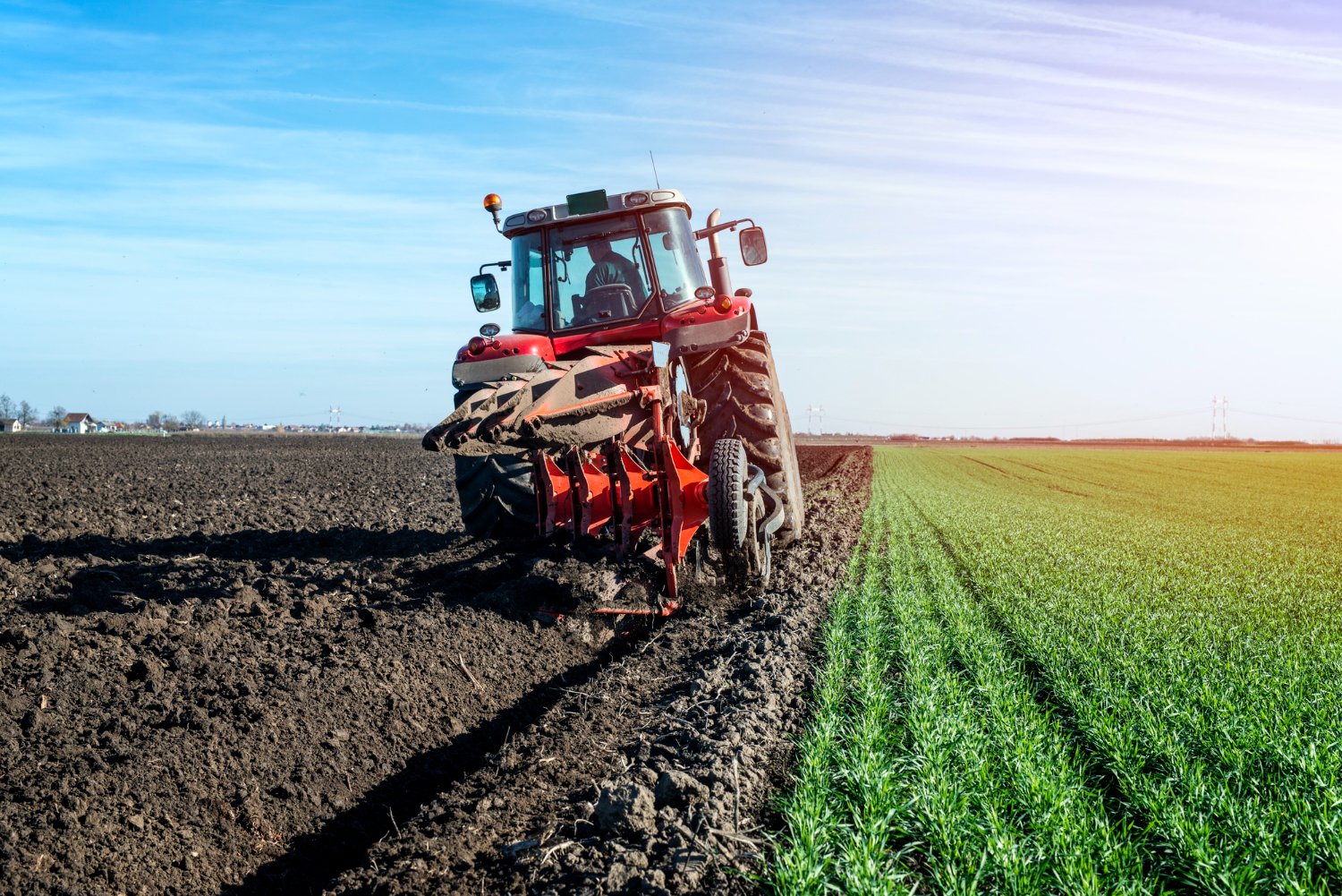 Agricultural Export